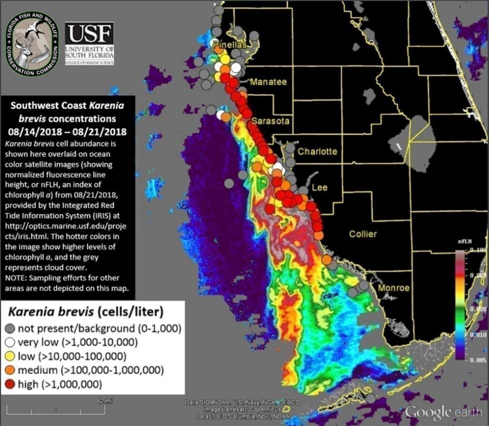 Florida Gulf Coast Red Tide Stifles Tourism and Vacation Rentals VRM