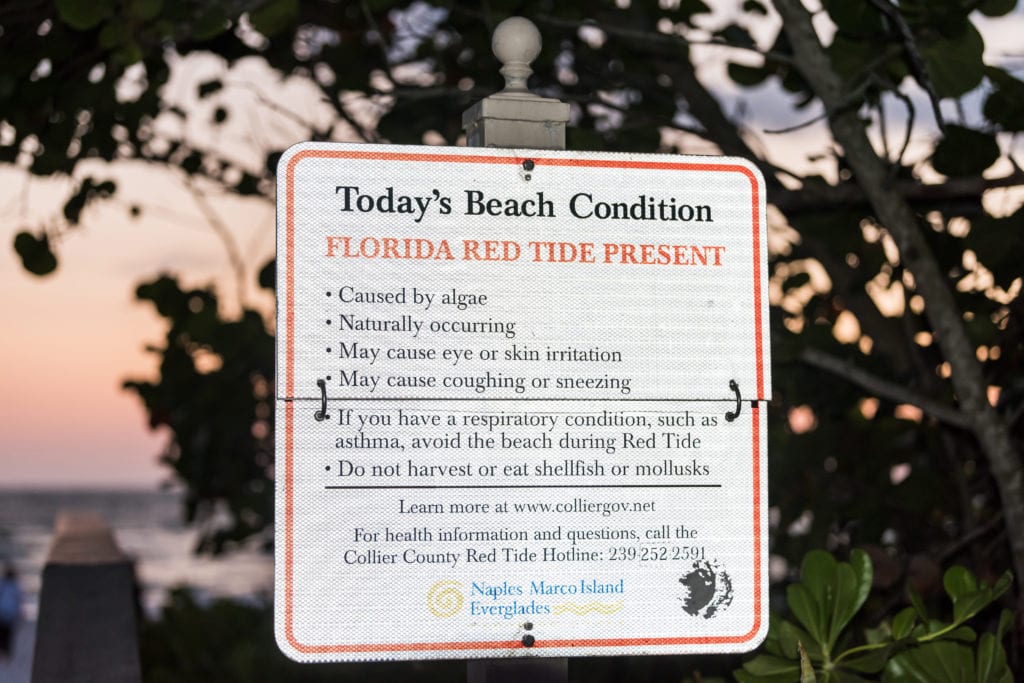 red tide sign florida beach naples