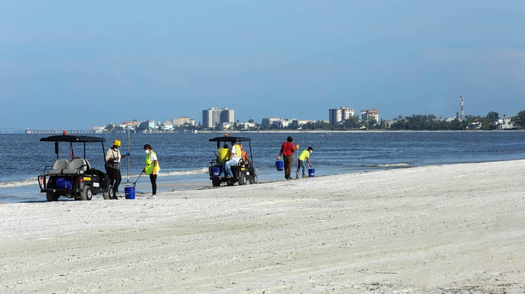 crews cleaning dead fish fort myers beach florida red tide