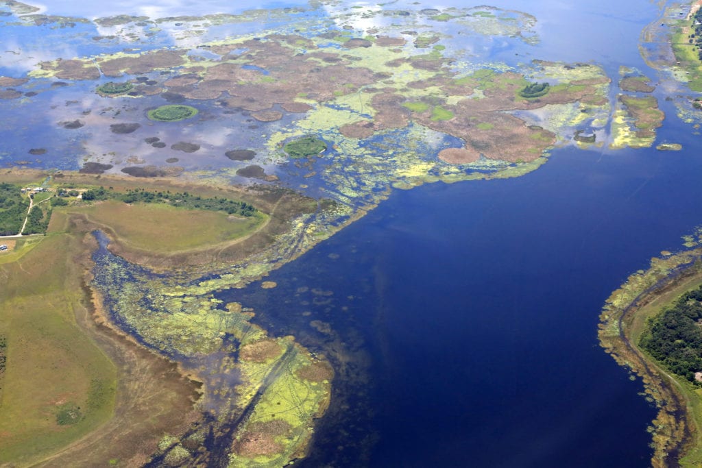 lake okeechobee florida blue green algae cyanobacteria bloom