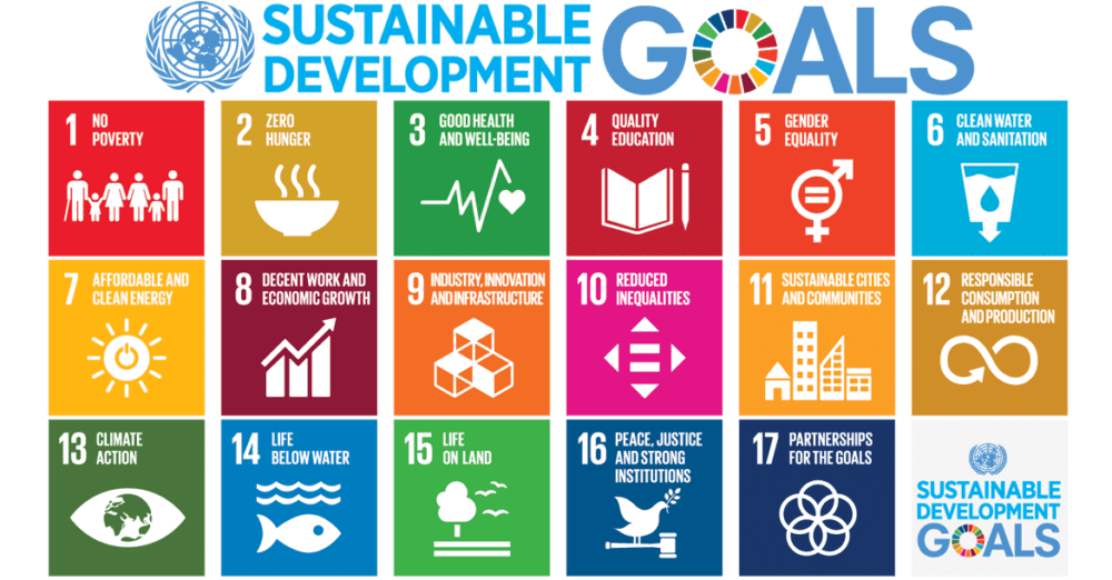 UN sustainable development goals